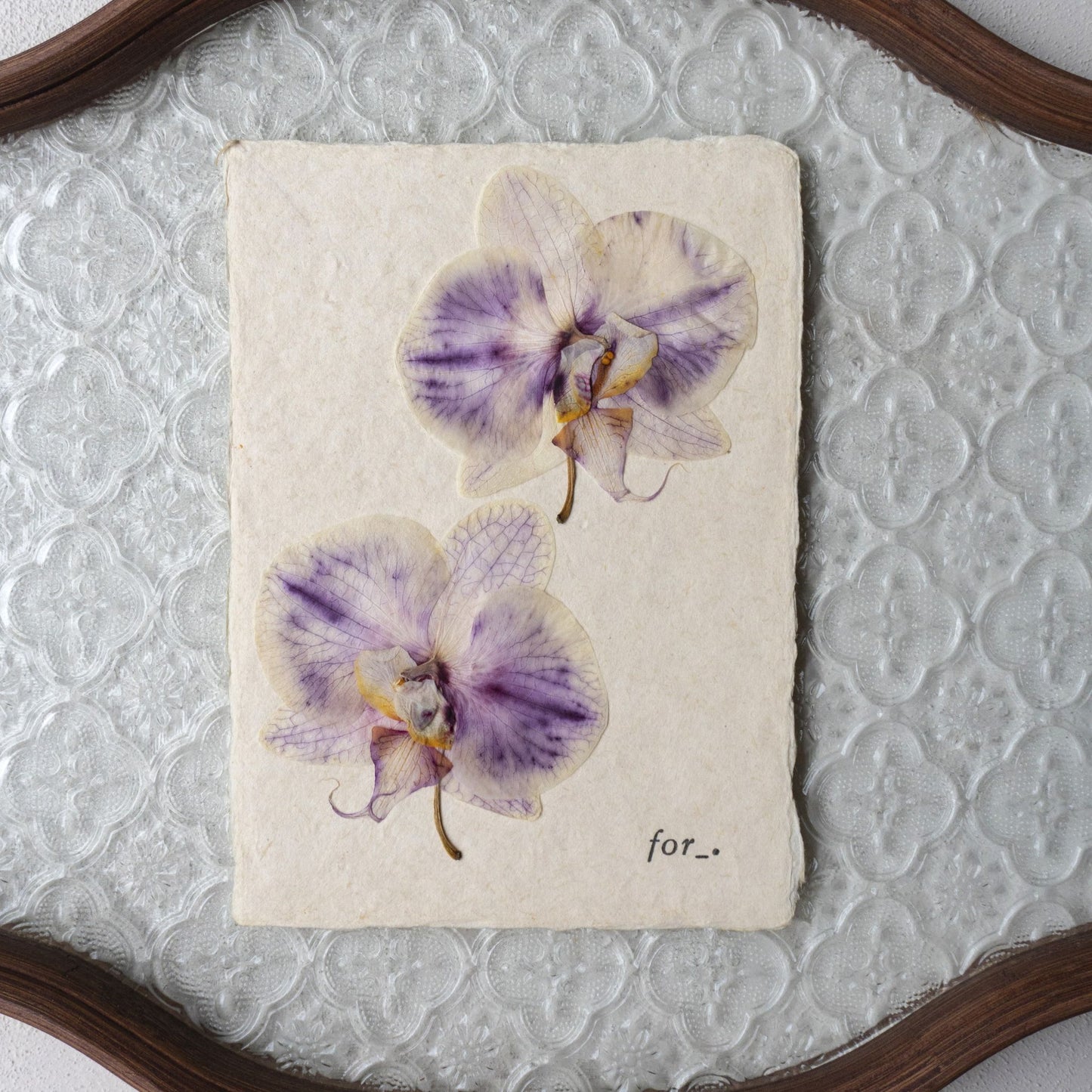 【 for the earth 】Postcard -Orchid-