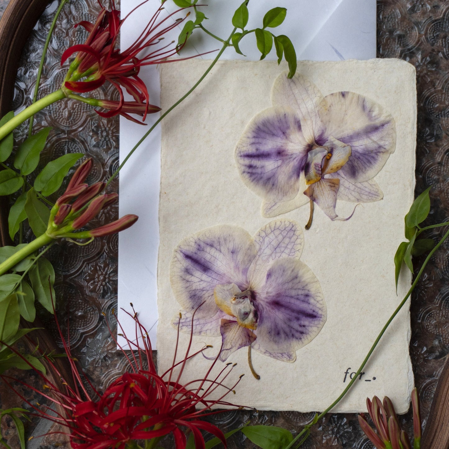 【 for the earth 】Postcard -Orchid-