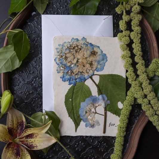 【 for the earth 】Postcard -Hydrangea-