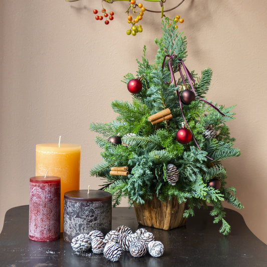 【11/29(土)】親子で楽しむクリスマスツリーのワークショップ