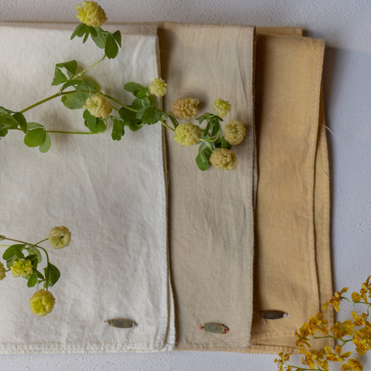 【 for the earth 】Botanical Dyed Multi Cloth